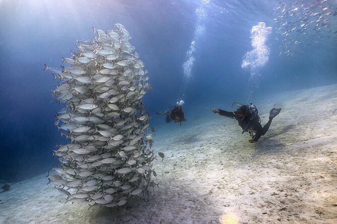 (2 Dives) Discover Scuba Diving Kota Kinabalu - What is included, and what you still need