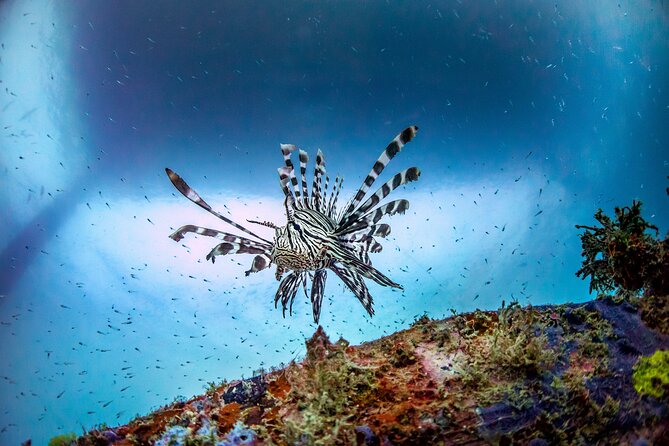 (2 Dives) Discover Scuba Diving Kota Kinabalu - The boat ride to Tunku Abdul Rahman Marine Park