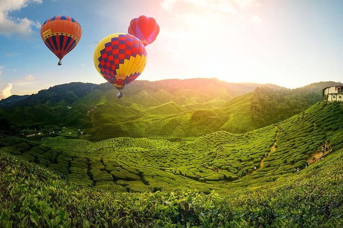 2D1N Cameron Highlands, Batu Caves, Ipoh, Kuala SelangorFireflies - Key points to know before booking