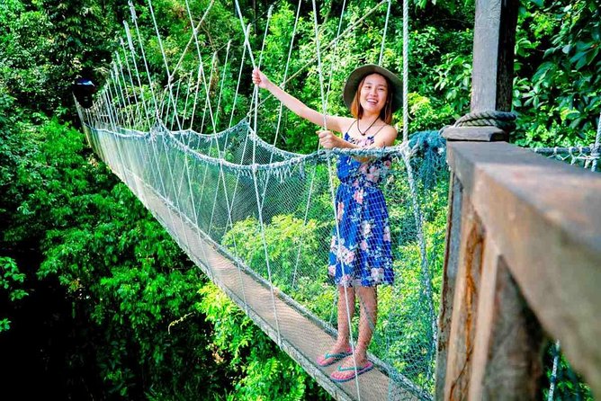 2d1n Kinabalu Park & Poring Canopy Walk & Desa Cow Farm Tour - The 175-meter canopy walk is the main event