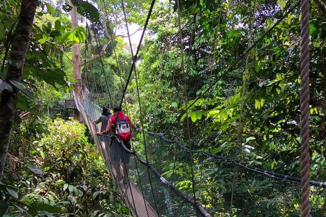 2d1n Kinabalu Park & Poring Canopy Walk & Desa Cow Farm Tour - The overnight stay makes the second morning easier