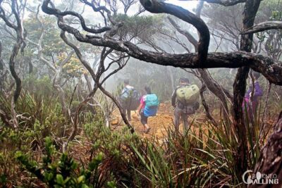 2d1n Mount Kinabalu Via Ferrata – Walk The Torq