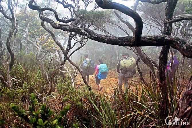 2d1n Mount Kinabalu Via Ferrata - Walk The Torq - Day one: Kota Kinabalu to Pendant Hut