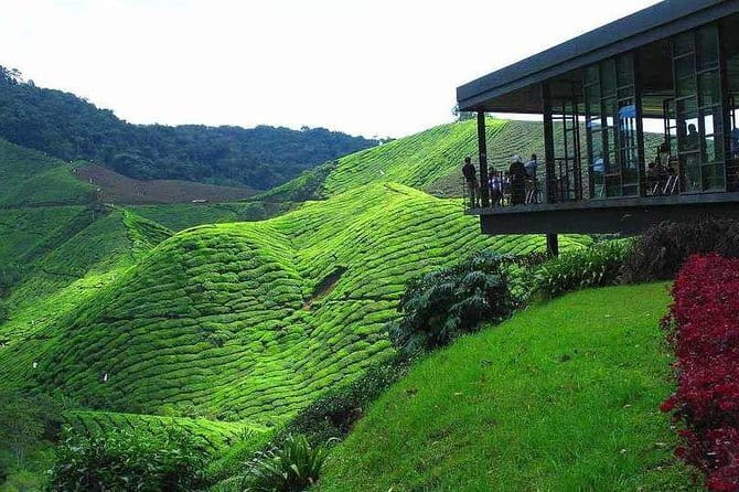2Days 1Night Cameron Highland and Penang Island Private Tour from Kuala Lumpur - The essential details at a glance