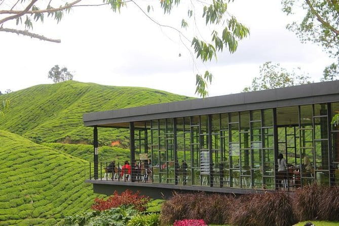 2Days 1Night Cameron Highland and Penang Island Private Tour from Kuala Lumpur - Leaving Kuala Lumpur at 8:00 am