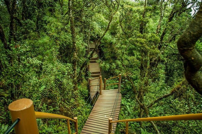 2Days 1Night Cameron Highland and Penang Island Private Tour from Kuala Lumpur - What the $435.90 price really covers