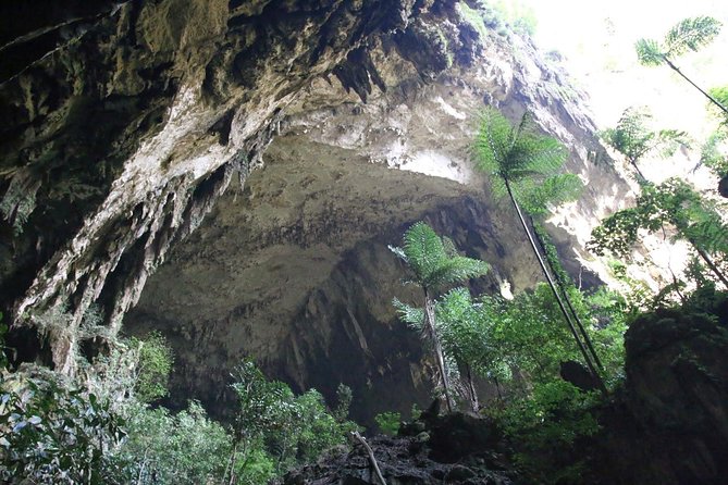 3 Days 2 Nights Unesco World Heritage Mulu 4 Showcaves - Day two: Penan culture and the longboat route