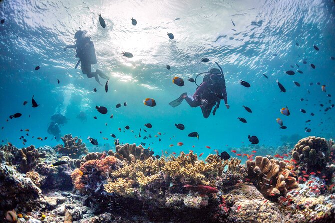 (3 Days) PADI Open Water Diver Course Kota Kinabalu - What the $437.93 price includes