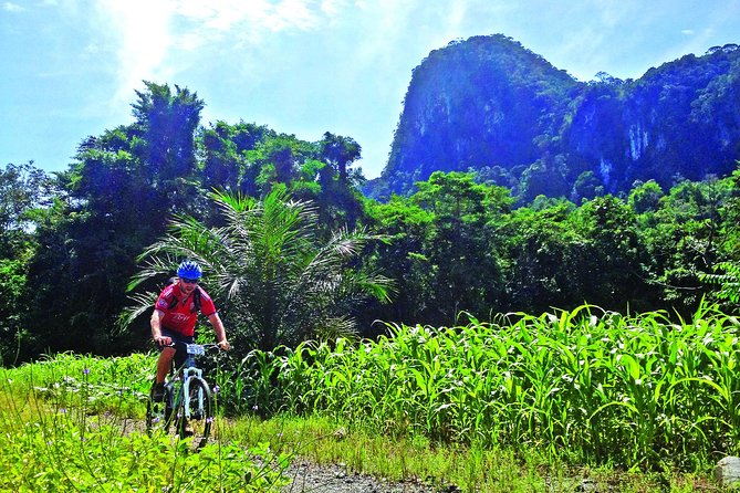 3-in-1 Ultimate Borneo Expedition Adventure - Key points to know before booking