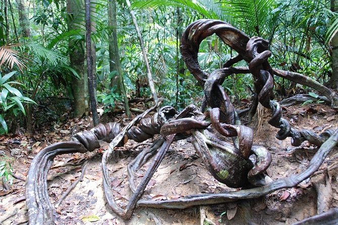 4-Day Jungle Experience in Taman Negara from Kuala Lumpur - Day 4: Crossing the river and returning to Kuala Lumpur