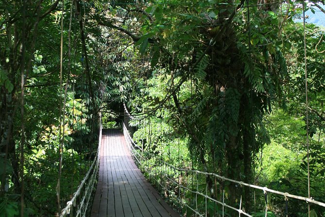 4 Days 3 Nights Mulu 4 Showcaves with Pinnacles - What the $454.59 price really covers
