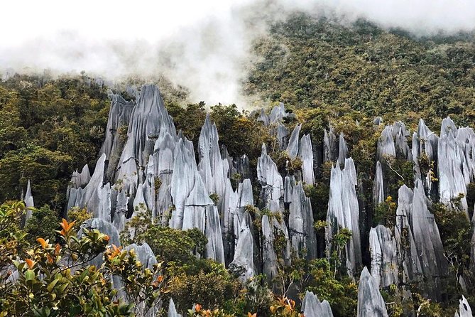 4 Days 3 Nights Mulu 4 Showcaves with Pinnacles - Who should book this Mulu adventure?