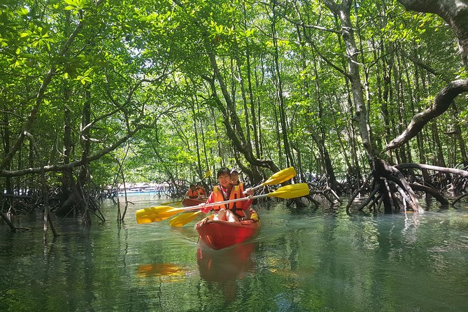 5 Hours Kilim Mangrove Kayaking Sharing Tour (With Hotel Pickup) - Bat Cave: a short stop with a wild edge