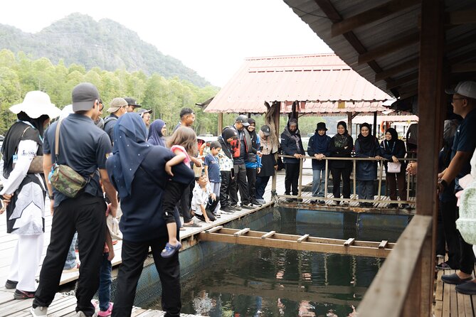 5 Hours Mangrove Boat Tour in Langkawi - Passing Gorilla Mountain and the limestone scenery