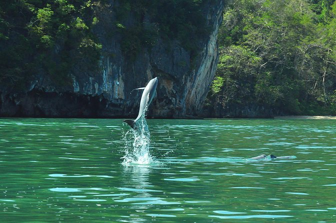 5 Hours Sharing Basis Kilim Mangrove Safari Boat Tour in Langkawi - Gua Kelawar and the bat cave