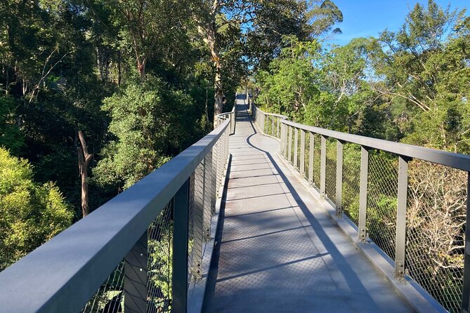 6-Hours Penang Private Tour - Walking through 130-million-year-old rainforest at The Habitat