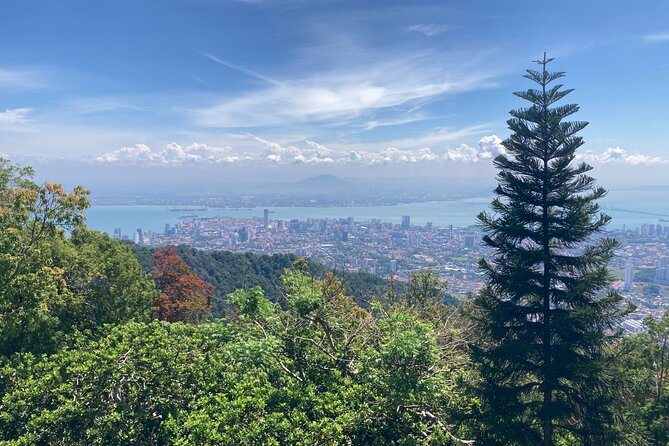 6-Hours Penang Private Tour - Riding the 1923 funicular to Penang Hill