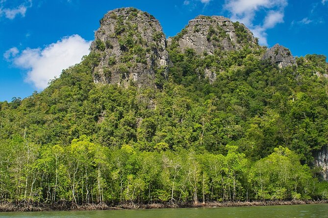 A Mangrove River Cruise on Langkawi - Key points to know before booking