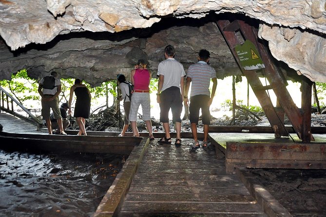 A Mangrove River Cruise on Langkawi - Why Kilim Geoforest Park is worth your morning