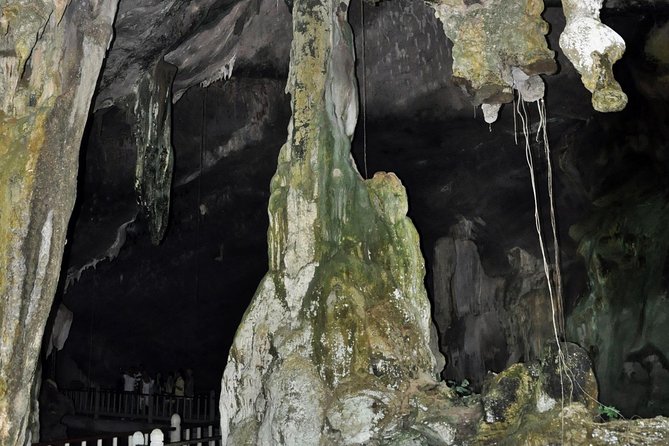 A Mangrove River Cruise on Langkawi - Shoe Island, beaches, and a possible swim