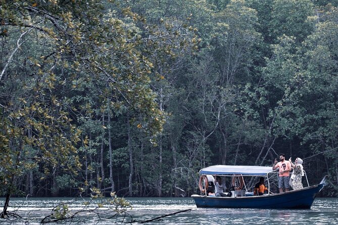 A Mangrove River Cruise on Langkawi - Cruising the Kilim River through mangroves