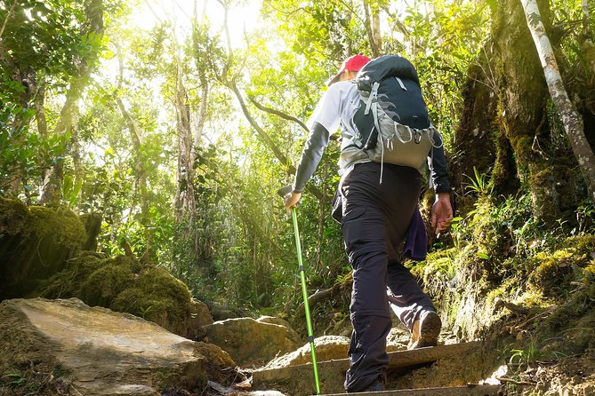 A Rendezvous with Nature - Templer Park and Kanching Waterfall Tour - Why Templer Park makes a good Kuala Lumpur escape