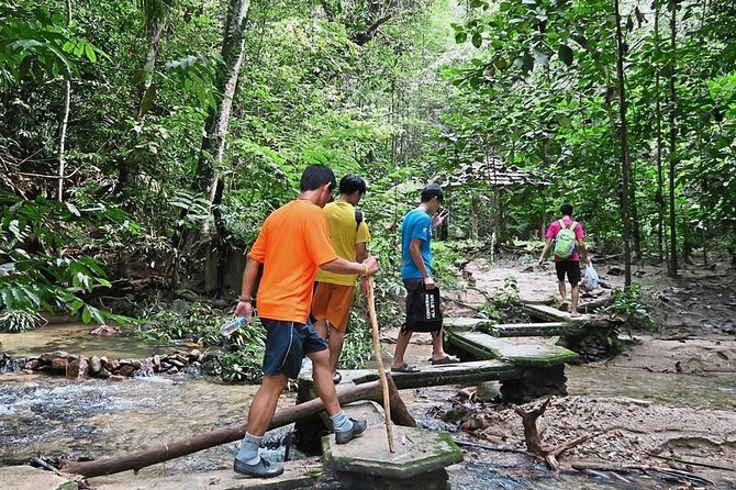 A Rendezvous with Nature - Templer Park and Kanching Waterfall Tour - The private vehicle is the main value