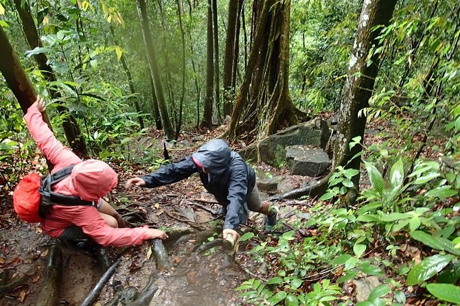 A Rendezvous with Nature - Templer Park and Kanching Waterfall Tour - Booking flexibility and practical limits