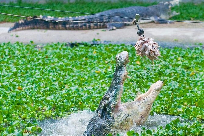 Adventure Combo - Arriving at Crocodile Adventureland on Jalan Datai