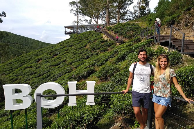 Amazing Cameron Highland Day Tour From Kuala Lumpur - Raju Hill Strawberry Farm and Kea Farm Market