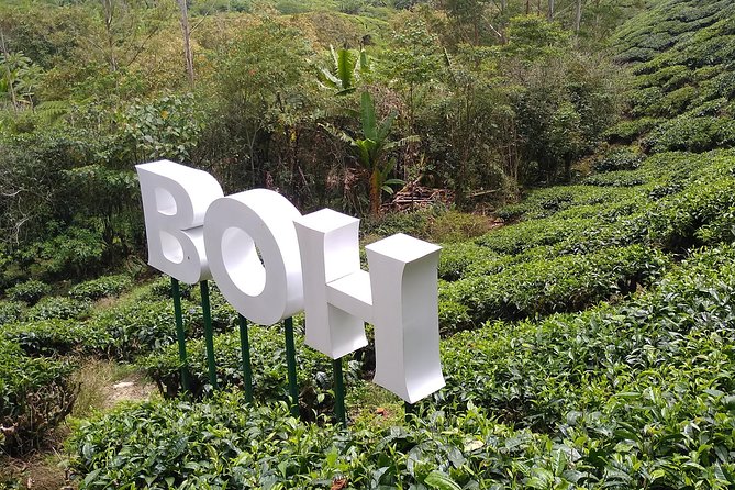 Amazing Cameron Highland Day Tour From Kuala Lumpur - Boh Tea Estate and the view worth the drive