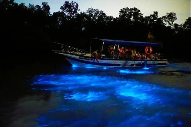 Amazing Fireflies With Blue Tears Watching & Kuala Selangor Tour - Why this Kuala Selangor evening is worth considering