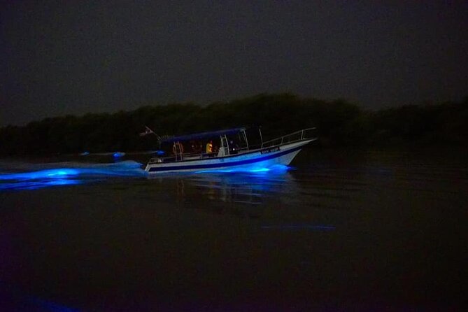 Amazing Fireflies With Blue Tears Watching & Kuala Selangor Tour - The firefly boat ride along the Selangor River