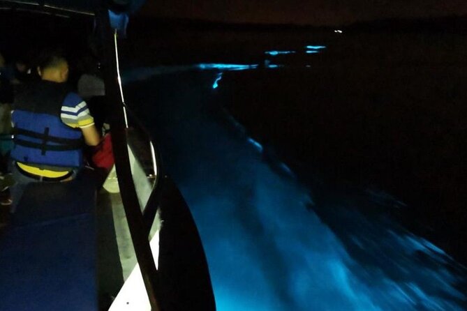 Amazing Fireflies With Blue Tears Watching & Kuala Selangor Tour - Blue tears: the most unpredictable part