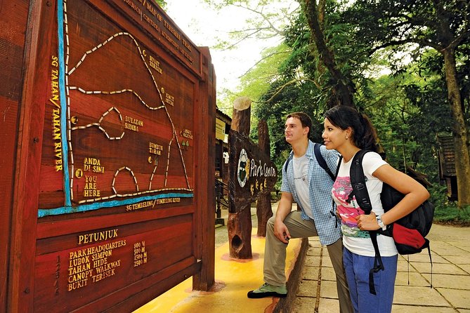Amazing Taman Negara Day Trip from Kuala Lumpur Including Lunch - Rising above the forest on the 530-meter walkway