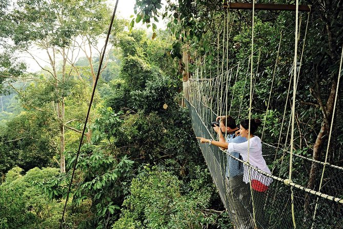 Amazing Taman Negara Day Trip from Kuala Lumpur Including Lunch - The 5:00 am or 7:00 am departure question