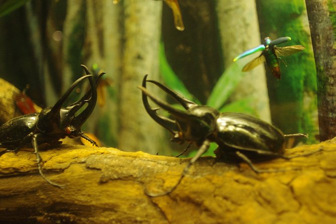 Aquaria KLCC Ticket - The 90-metre tunnel is the reason to come