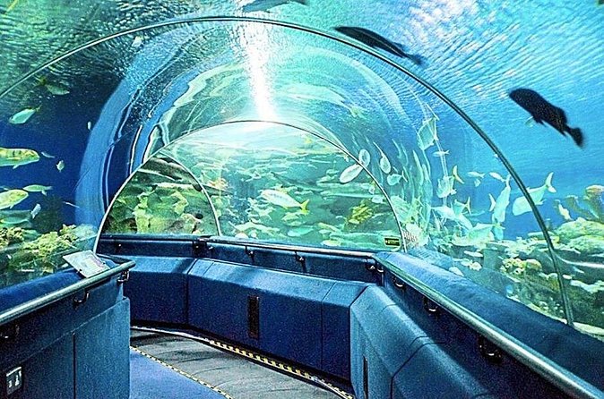 Aquaria KLCC Ticket - A convenient KLCC stop, not a destination outside the city