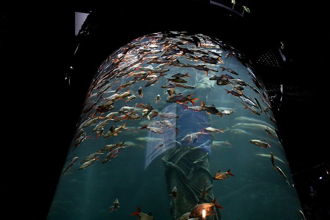 Aquaria KLCC Ticket - Is $14.50 a fair price?