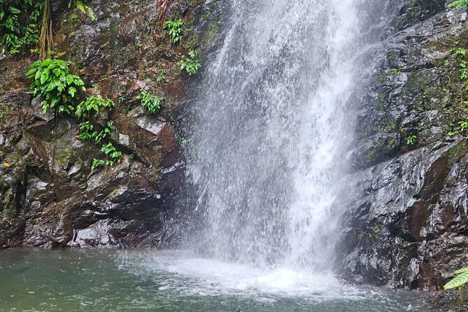 ATV Jungle Trail & Waterfall Experience with Hotel Transfer - Hotel pickup makes the morning easier