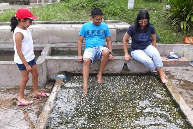 Back to Nature Tour - Templer's Park, Hot Spring & Batu Caves - Templer’s Park: rainforest, streams and seven waterfall levels