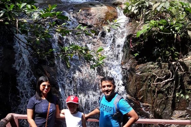 Back to Nature Tour - Templer's Park, Hot Spring & Batu Caves - Why private transport matters on this itinerary