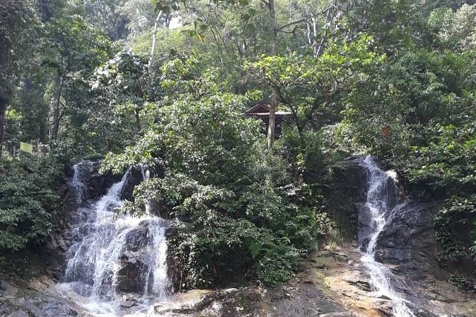 Back to Nature Tour - Templer's Park, Hot Spring & Batu Caves - Selayang Hot Spring and the local side of the route