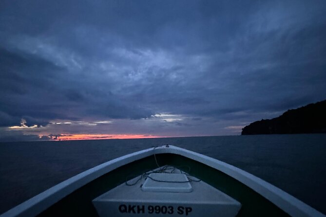 Bako National Park by Night from Kuching - Key points to know before booking