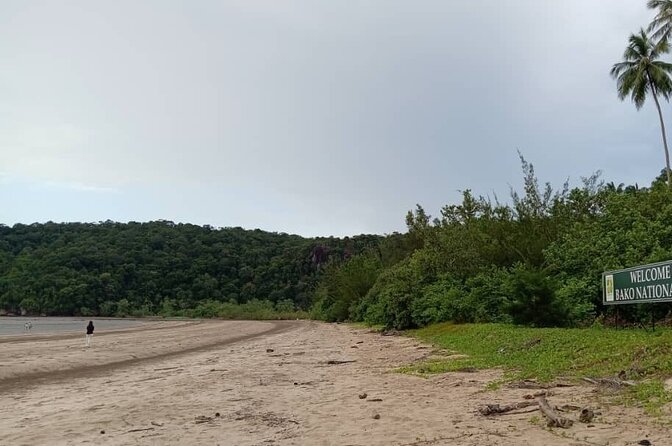 Bako National Park by Night from Kuching - Fireflies on the Santubong River