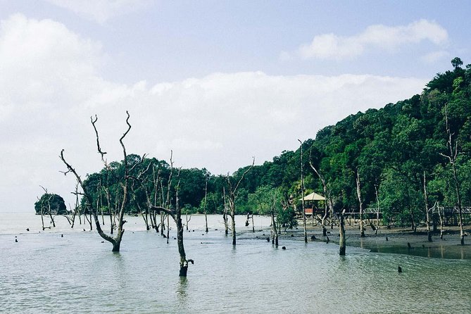 Bako National Park from Kuching City - Why Bako is such a good day from Kuching