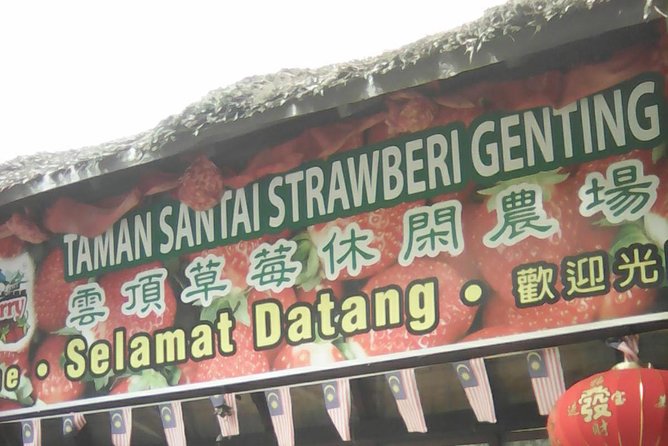 Batu Caves and Genting Highland Tour - Flexible pickup and a long day on the road