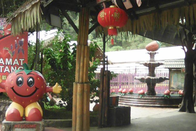 Batu Caves And Genting Highland Tour - Batu Caves and the climb to the shrine