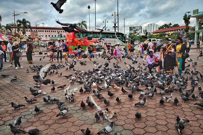 Batu Caves Twilight and Little India Evening Tour - Who will enjoy this evening most?