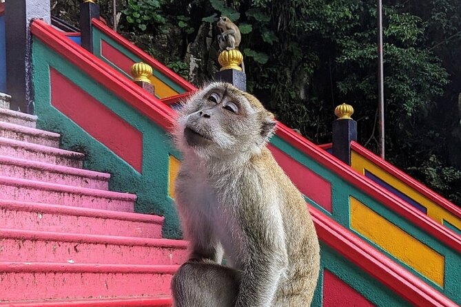 Batu Caves, Waterfalls and Hot Springs Tour With Lunch - What this six-hour Kuala Lumpur tour is really like